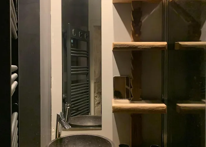 公寓 Loft Parisien