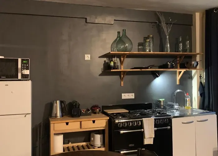 Loft Parisien 公寓 巴黎